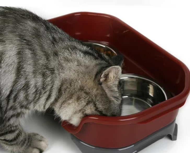 Pet Food Bowl