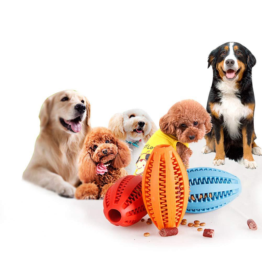 Dog Chewing and Teeth Cleaning Toy